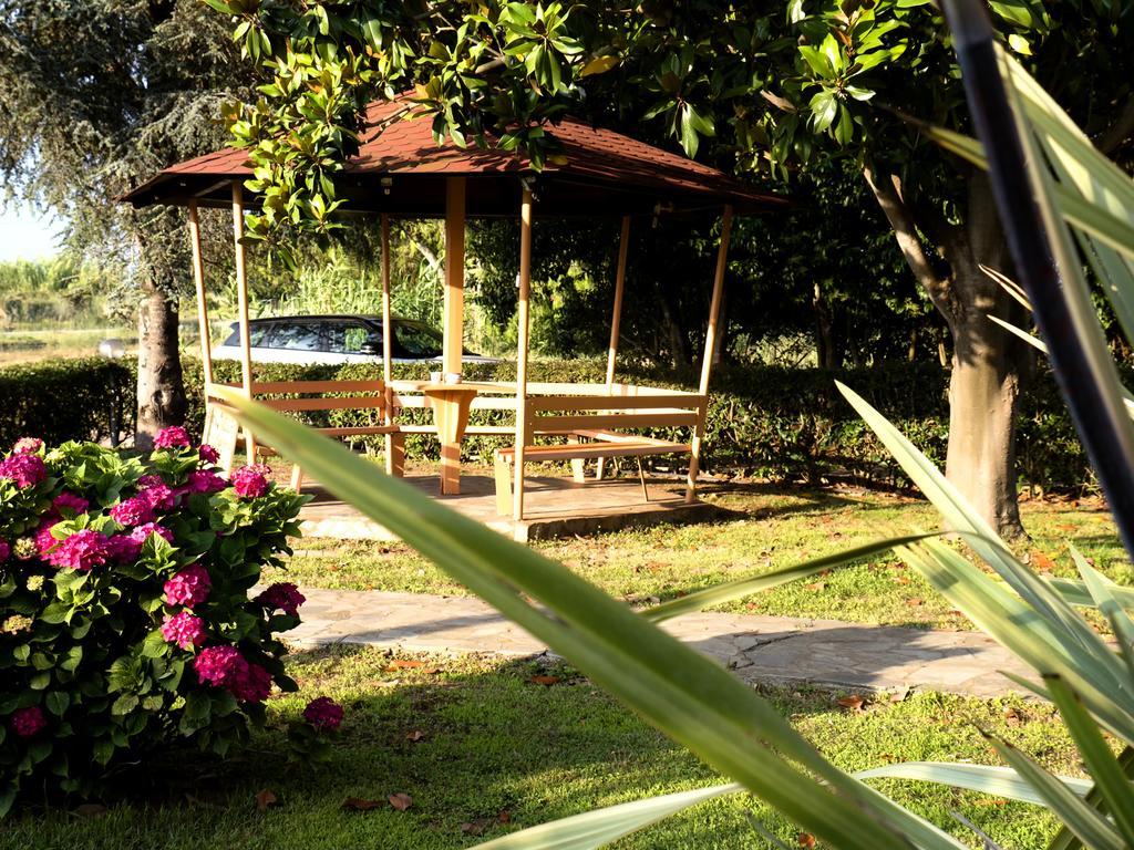 Voula Apartments มิทิคาส ภายนอก รูปภาพ